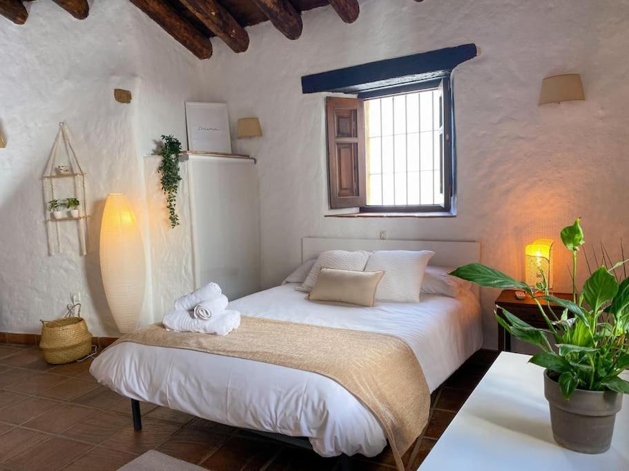 Casabenadalid. Casa Rural Con Piscina. 외부 사진