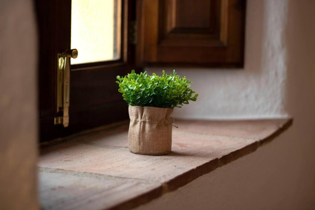 Casabenadalid. Casa Rural Con Piscina. 외부 사진